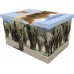 Elephant - Personalised Picture Coffin with Customised Design.